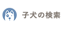 子猫の検索